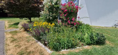 Gärtner Frauenfeld - Impressionen unserer Arbeit