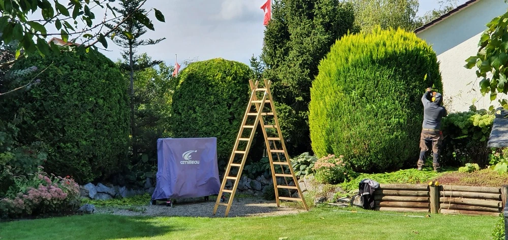 Ihr erfahrener Gärtner in Frauenfeld - Gärtner Frauenfeld in Frauenfeld